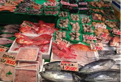 三崎朝市で売っていた魚介類