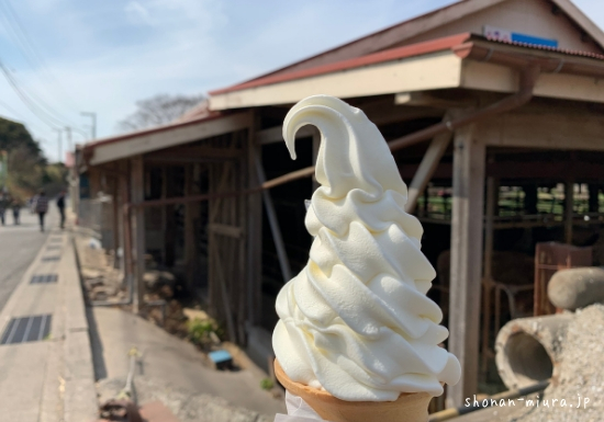 横須賀関口牧場のソフトクリーム