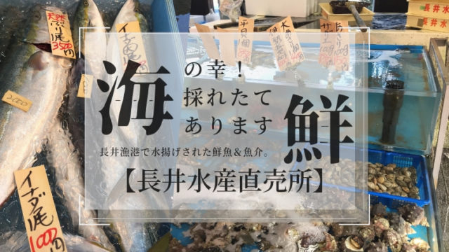 三浦半島鮮魚直売所 長井水産は朝獲れ地魚 サザエなどの海産物が安い 湘南 三浦半島news