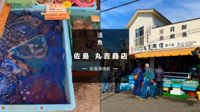 佐島漁港前の魚屋『丸吉商店』朝獲れ鮮魚・活魚・サザエをおみやげに！