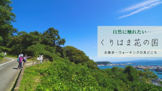 くりはま花の国で大人散歩！横須賀の自然を満喫できるウォーキングコース！