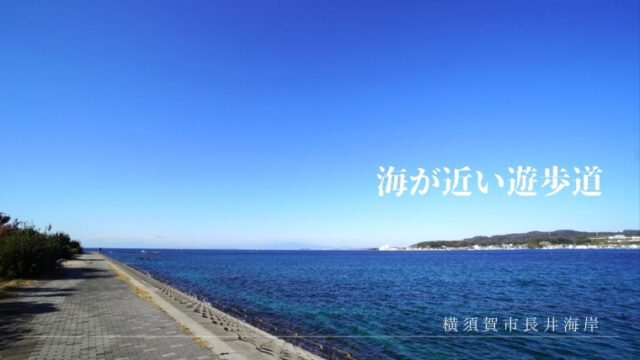 【長井】海と富士山＆夕日がめっちゃキレイ！絶景の穴場海岸遊歩道！