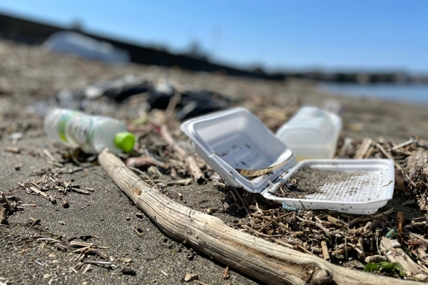 三浦半島プラスチックゴミ