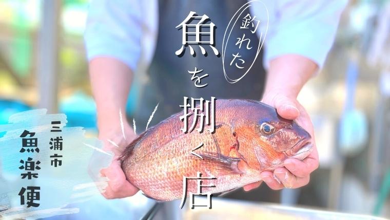 【三浦半島】釣れた魚を捌いてくれる店！下処理する時間がない時にめっちゃおすすめ！